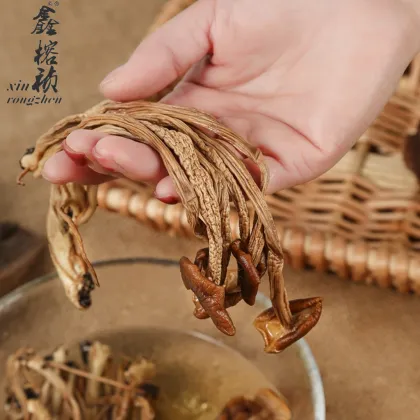 Air-Dried Tea Tree Mushrooms - Natural Edible Dried Shiitake Mushrooms