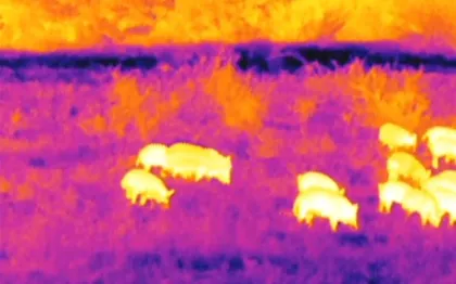 Infrared Thermal Scope For Hunting Patrol Security scope