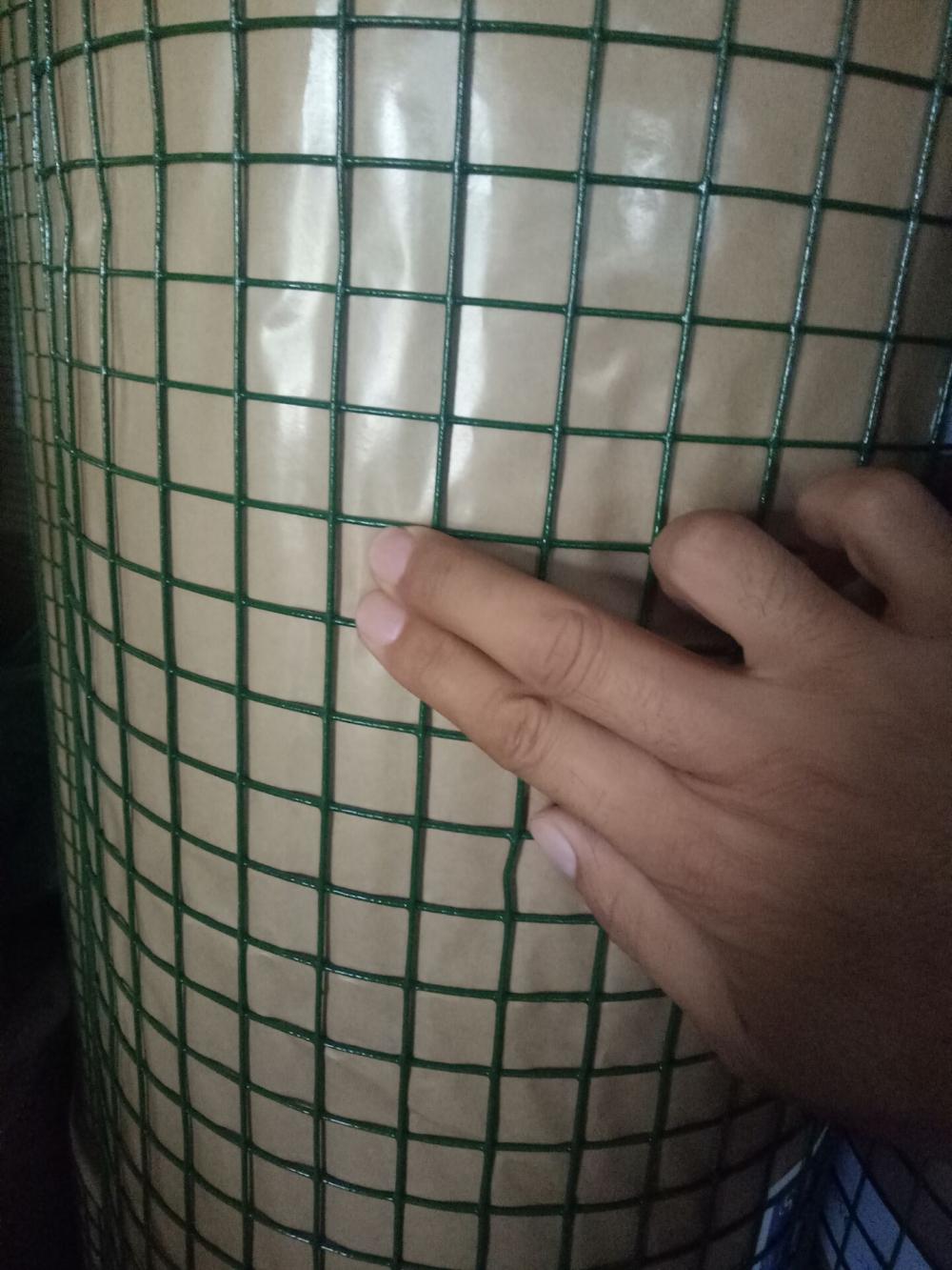 PVC dilapisi kawat Mesh untuk konstruksi