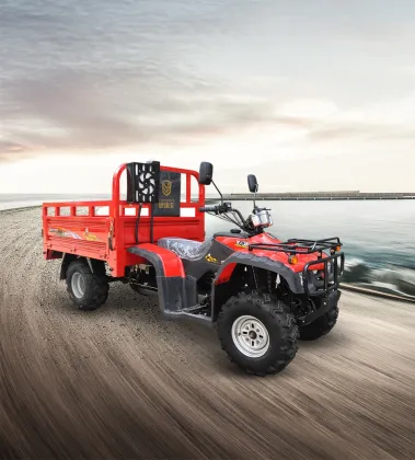 150cc/200cc/250cc ATV Tricycle and ATV Cargo Motorcycle Search