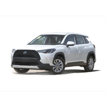Brand New Electric & Petrol Hybrid Compact Crossover SUV Cars: Discover the Latest Models from Fenglanda