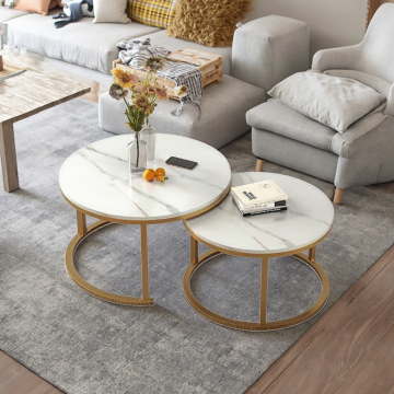 Elegant Modern Minimalist Coffee Table Set
