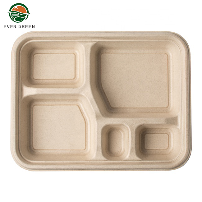 Bagasse Food Disposable Biodegradable Container Food Tray