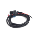 Speaker Wiring Harness good quality Speaker Cable Assembly Manufactory