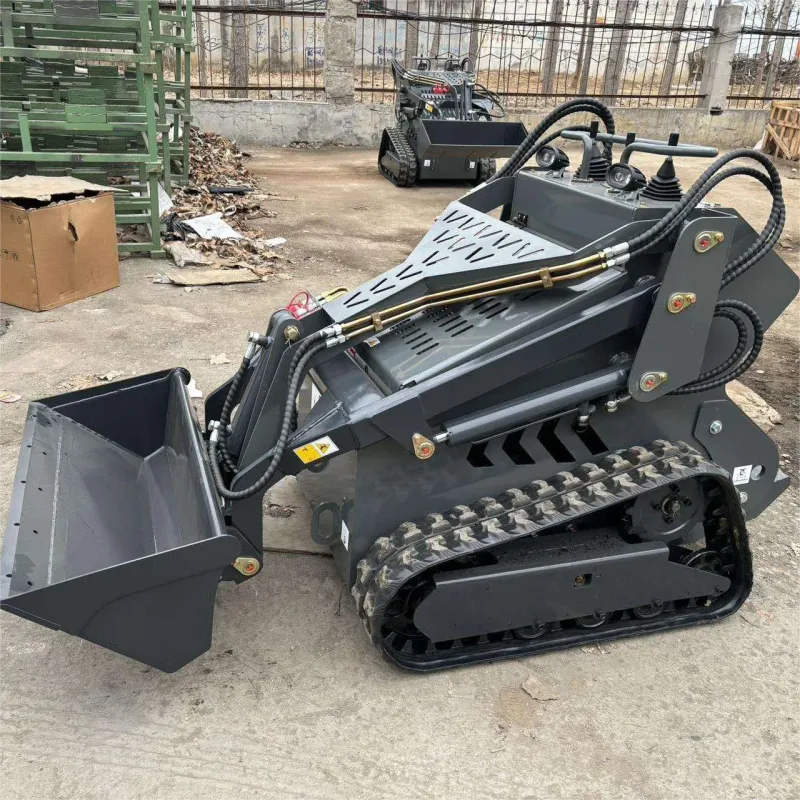 Mini Skid Steer Loader with Free Shipping and Factory Price