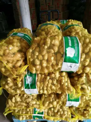 Serve Fresh Regular Fresh Ginger