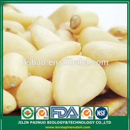 Bulk Factory Direct Confectionery Pine Nut Kernels for Snack Foods