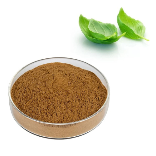 Natural Holy Basil Leaf Extract With Free Sample
