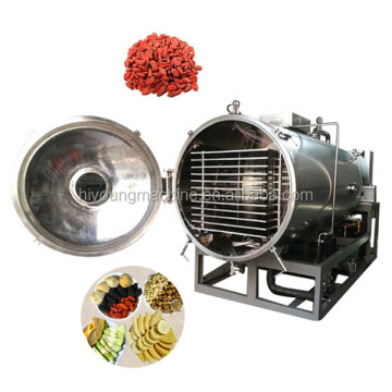 Vacuümmachine van fruit en groenten industriële vriesdroger machine