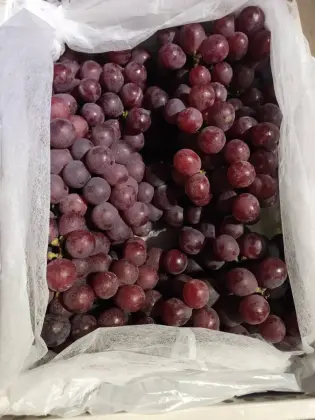 High Quality Yun Nan Red Grapes