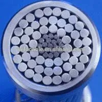 Bare Aluminum Conductor ACSR Overhead Aluminum Conductor steel reinforced ACSR