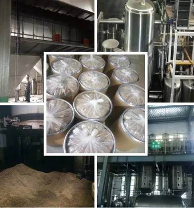 High Quality Cistanche Tubulosa Extract Powder