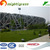 Synthetic Turf/ Professional manufacture