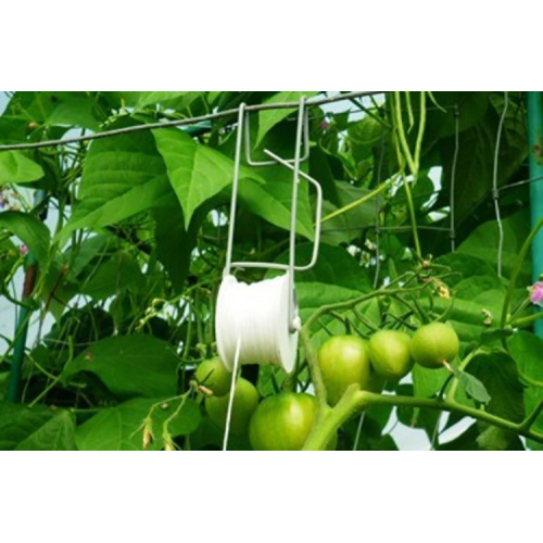 Roller Tomato Pemegang Hot Galvanized dengan Twine