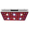 Hochleistungs-LED-Pflanzenlicht Cob 3000w Phlizon