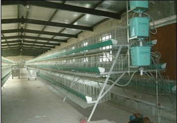 Poultry Layer Chicken Cage Chicken Coops Poultry Cages Chicken Layer Egg Cage Chicken Coop, Bird Cage Poultry Farm Layer Chicken Cage