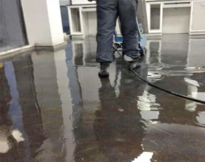 Oily epoxy seal curing agent