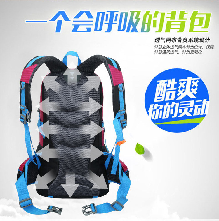 hiking backpack