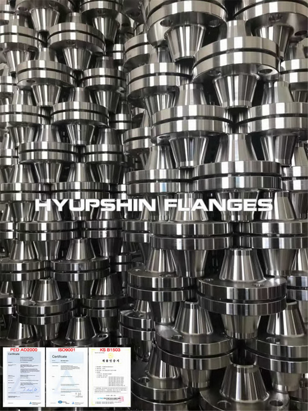 Hyupshin Flanges Stainless Steel Bs4504 En1092 1 Din