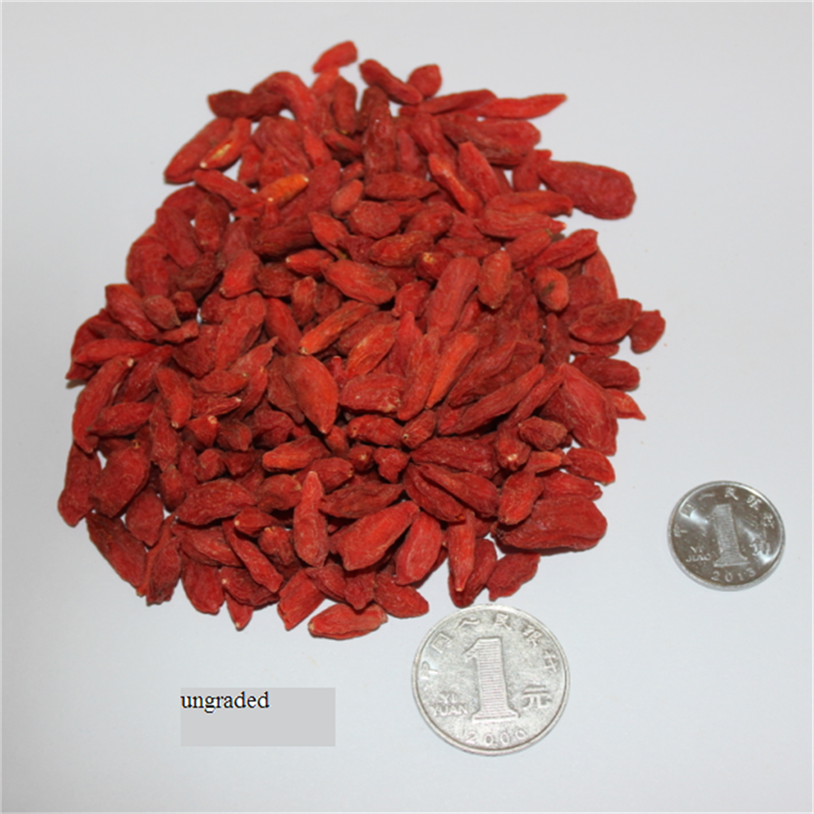 Sisa-sisa pertanian rendah Ningxia Berry goji kering / wolfberry