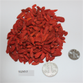 Ningxia Low agricultural residues Dried goji berry/wolfberry