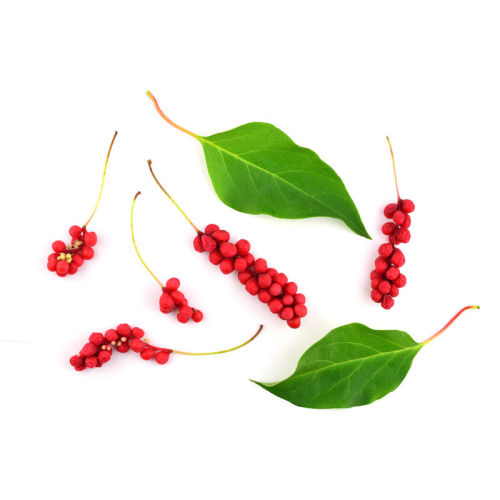 Plant Protein Powder with Schisandrin
