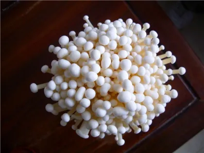 advance nutrients fresh mushroom Enokitake/ Enoki / Golden Needle Mushroom