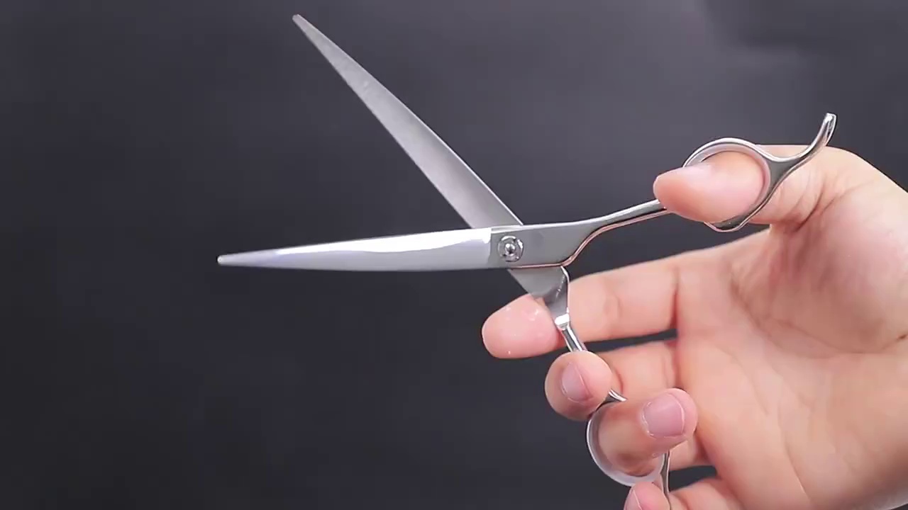 Black Stainless Steel Beauty Scissors