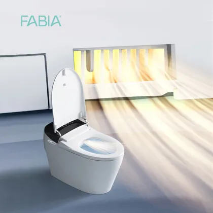 High Tech Automatic Smart Toilet Bowl