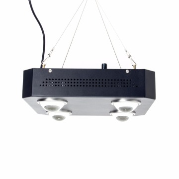 Accetti le luci sviluppate principali epistar su misura dello spettro completo 400w dalla fabbrica della Cina