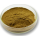 Mulberry Leaf Extract Powder DNJ Natural Reduce Blood