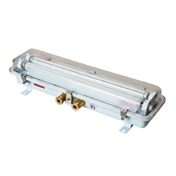 Marine 2x20W Stainless Steel Ex-Proof Fluorescent Pendant Light