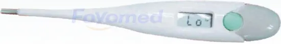 Digital Thermometers