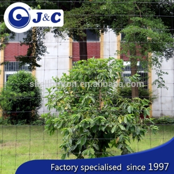 anti bird protection netting for airport,greenhouse net , anti Bird protection net,plastic anti bird net