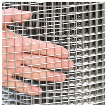 Welded Steel Wire Mesh Roll for Livestock Fencing - Galvanised Square Chicken Cage Netting