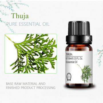 Massagem de petróleo da marca privada de grau terapêutica Natural Thuja