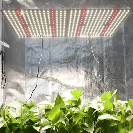 1200W Dimmable LED UV Hydroponic Grow Lights for Greenhouse and Indoor Plants