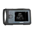 Vet ultrasound machine for pregnancy test