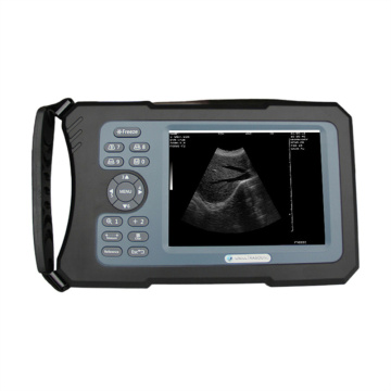 Vet ultrasound machine for pregnancy test