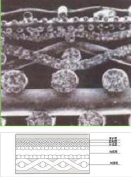 Stainless steel sintered mesh