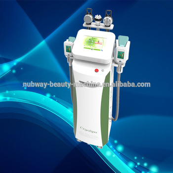 cryolipolysis cavitation rf cryolipolysis weight loss equipment