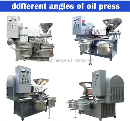 Small Capacity Soybean Extruder Sunflower Seed Oil Press Machine
