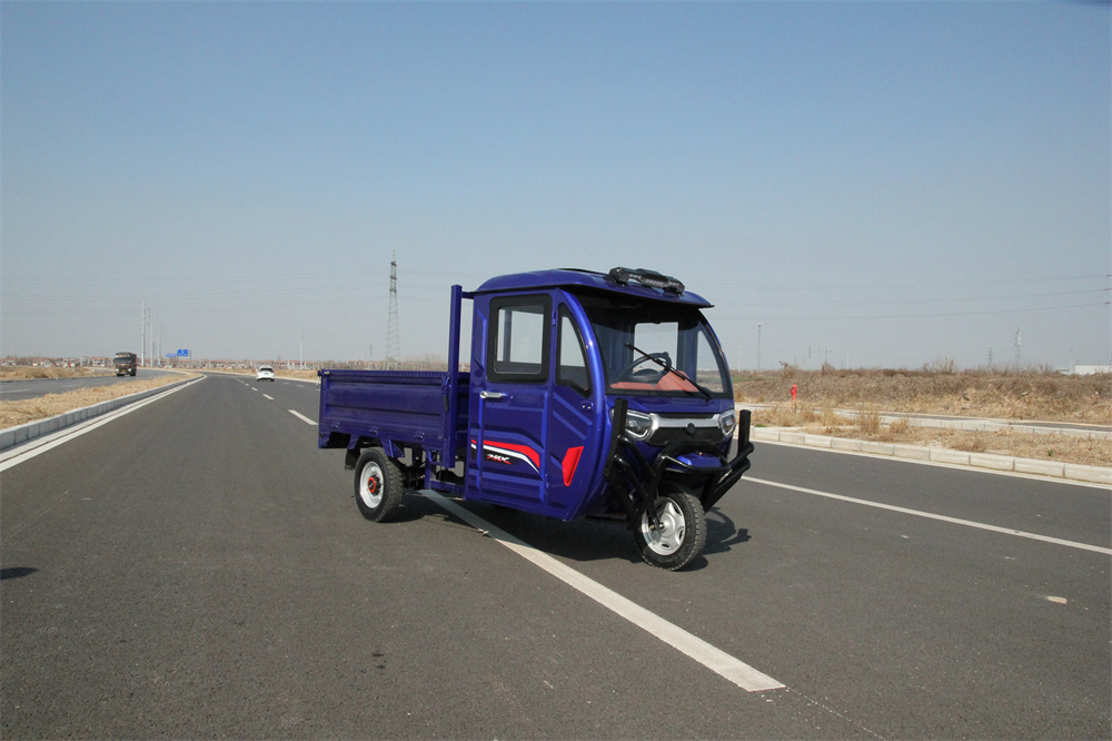 Electric passenger auto rickshaw