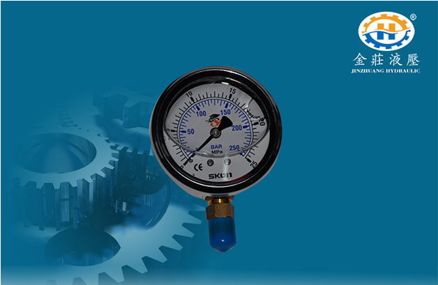 Hydraulic pressure gauge for industrial hydraulic system