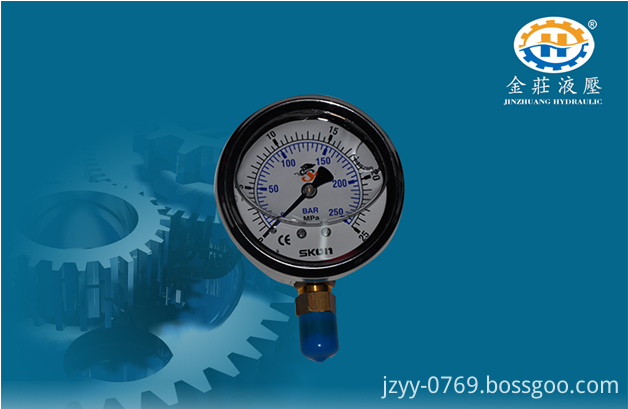 Visual hydraulic pressure gauge without cover