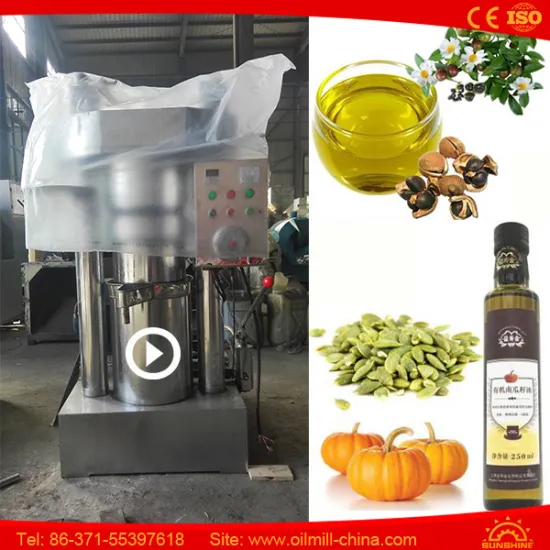 Peanut Almond Moringa Pumpkin Coconut Mini Oil Press Machine