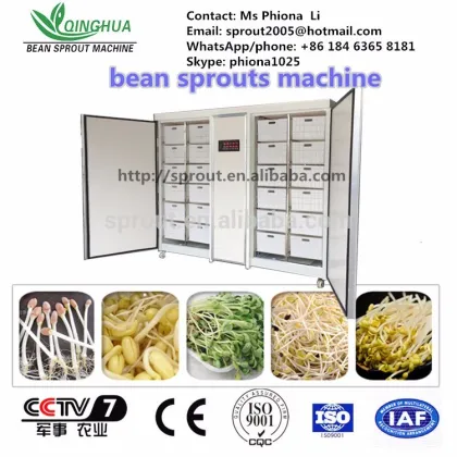 Bean Sprout Machine mung bean sprout machine bean sprout making machine