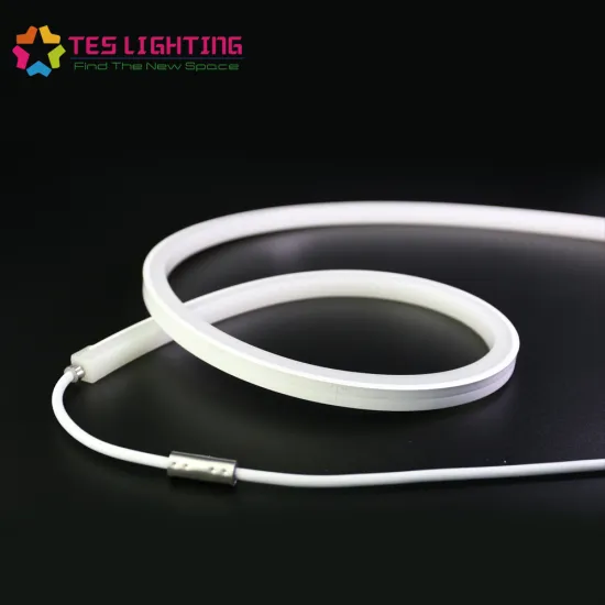 outdoor 24v Neon led strip lights