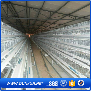 Hot sales poultry cages hot dipped galvanized 20 years lifetime layer chicken cages with Auto water system