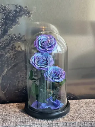 Factory Direct Glass Globe Eternal Single Rose - Preserved Flower Valentine Gift